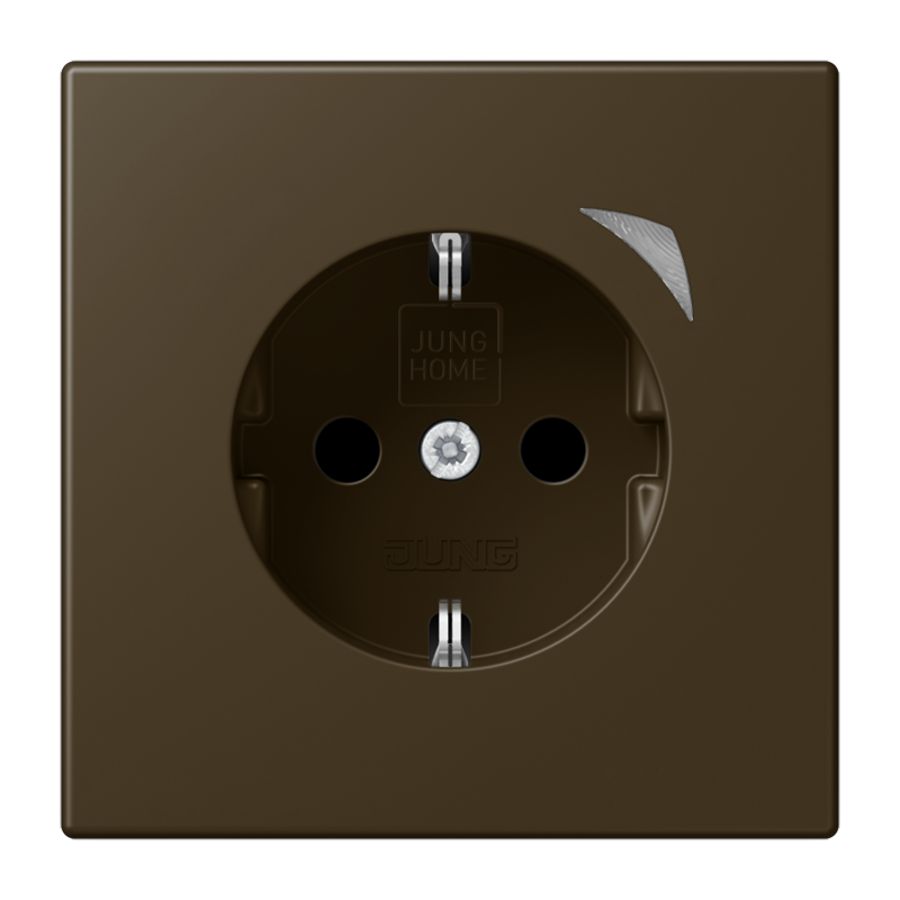 Wandcontactdoos LS990 messing antiek Saf.+ HOME