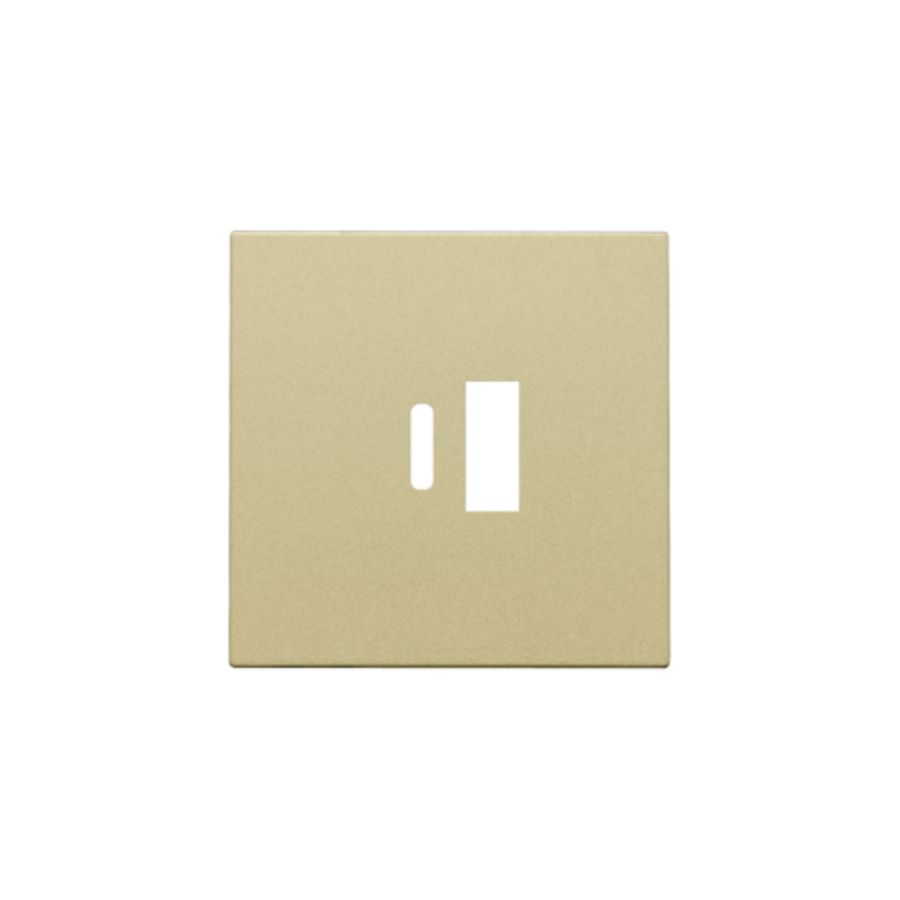 Afwerkingsset dubbele smart USB-A-/USB-C-lader gold coated