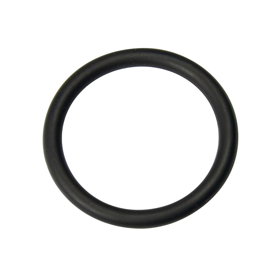 O-ring 3/4 0020246443
