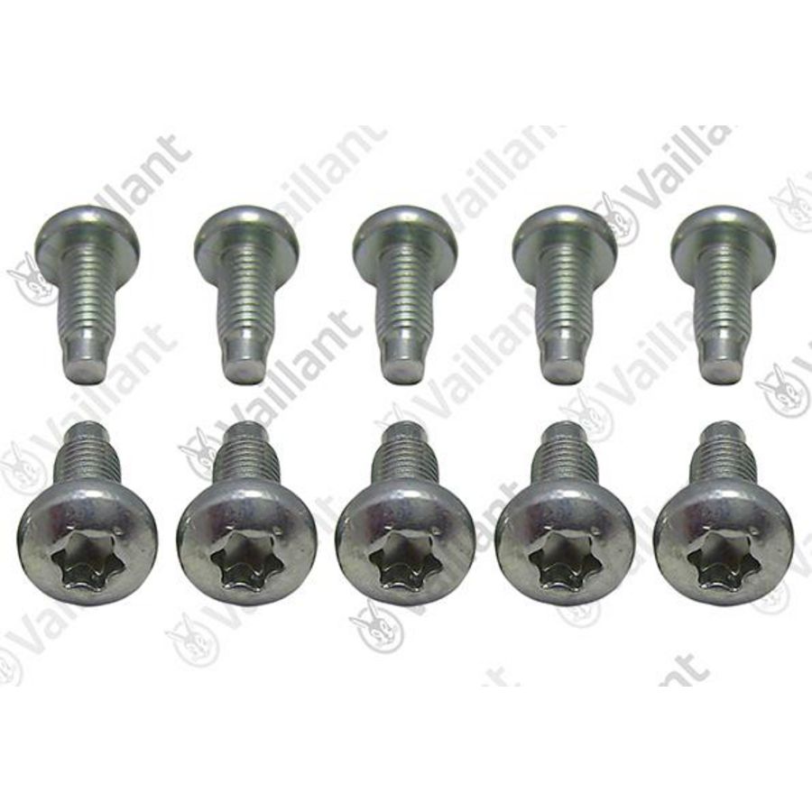 Set a 10st. Schroef 0020195482