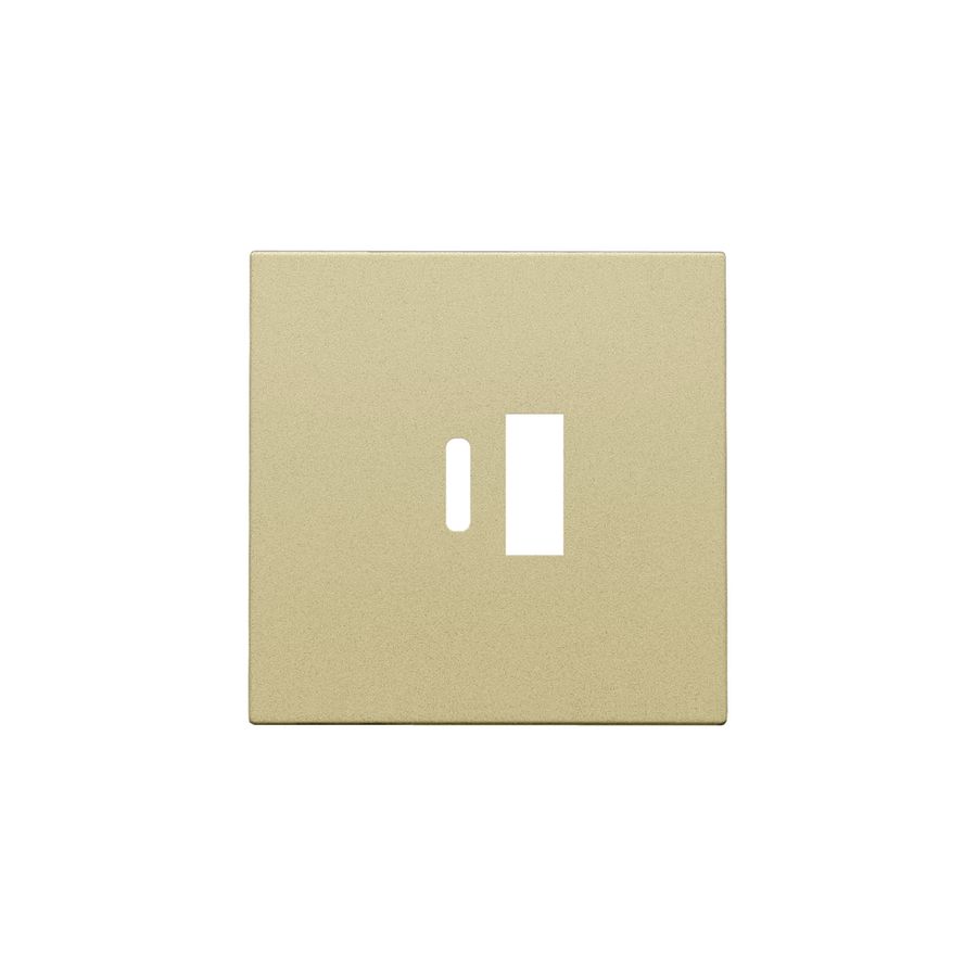 Afwerkingsset dubbele smart USB-A-/USB-C-lader gold coated