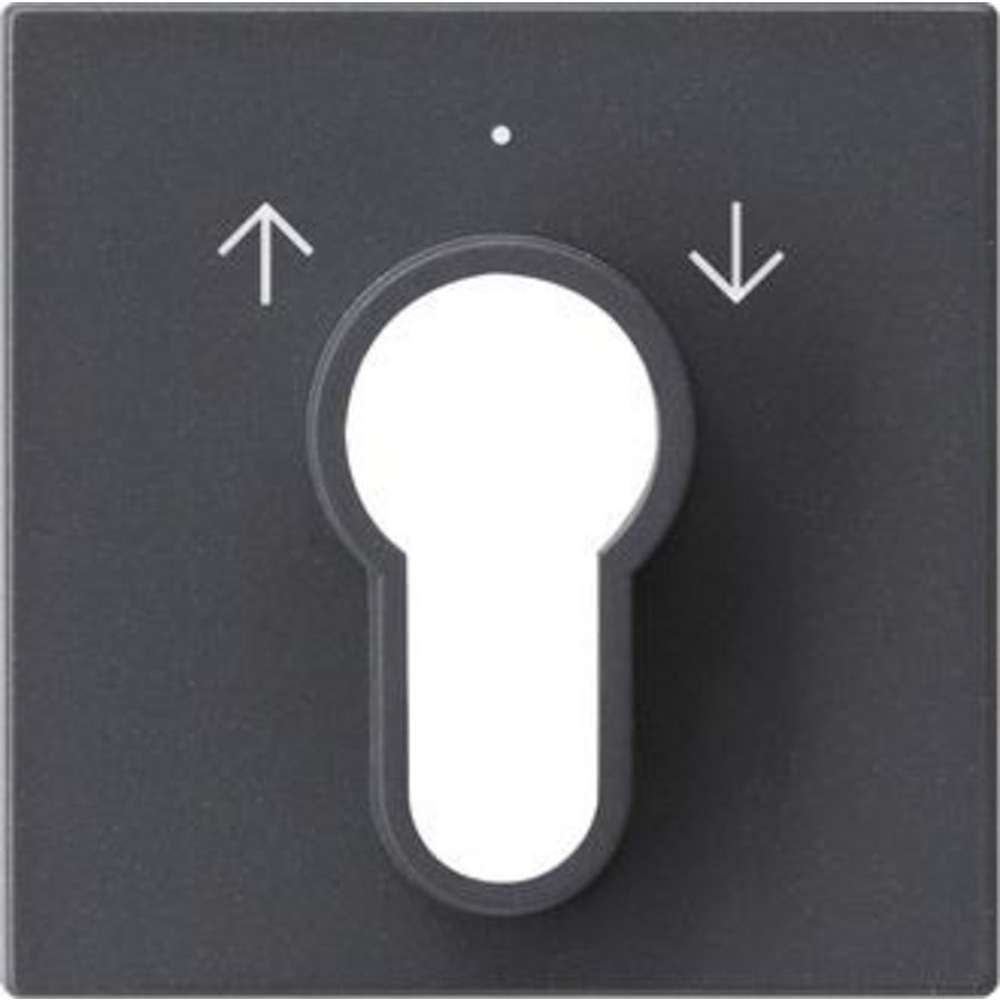 Afdekking sleutelschakelaar /-drukcontact System 55 antraciet