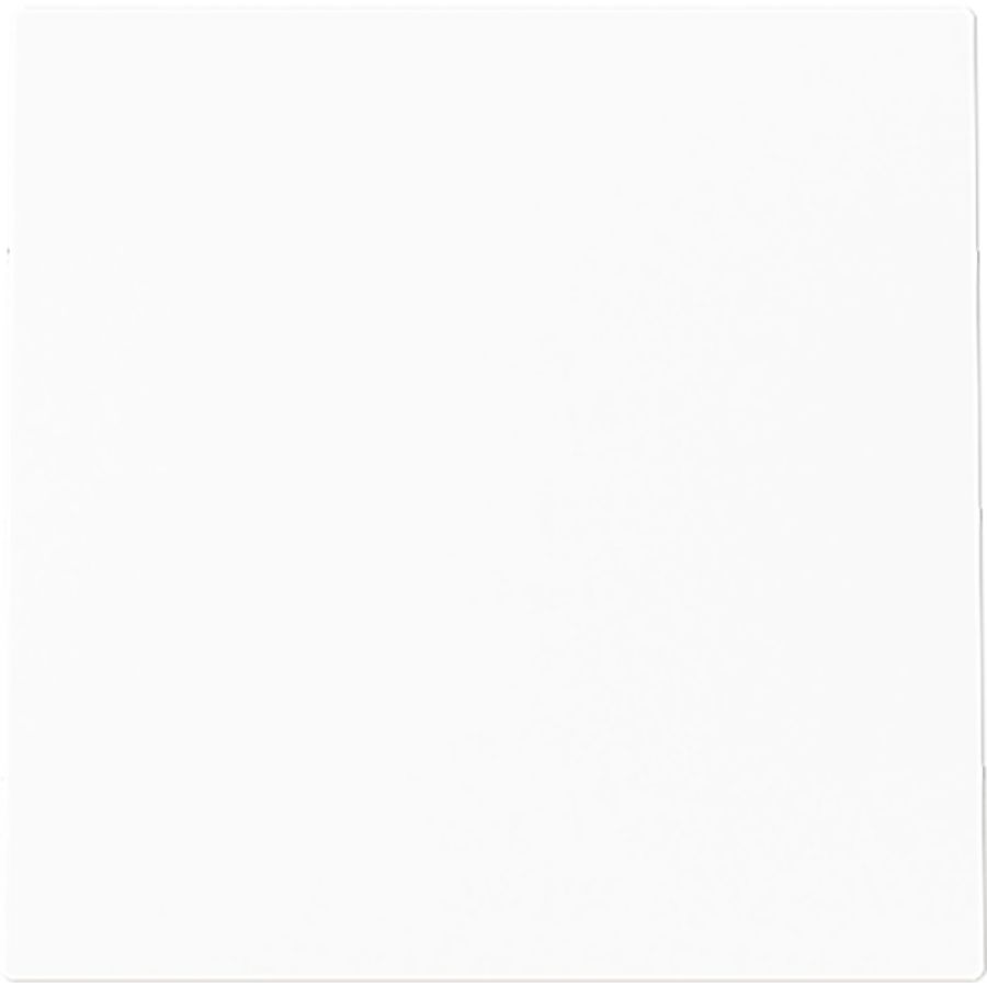 Centraalplaat 1 x uit boring 10mm art-matwit (1749-44M)