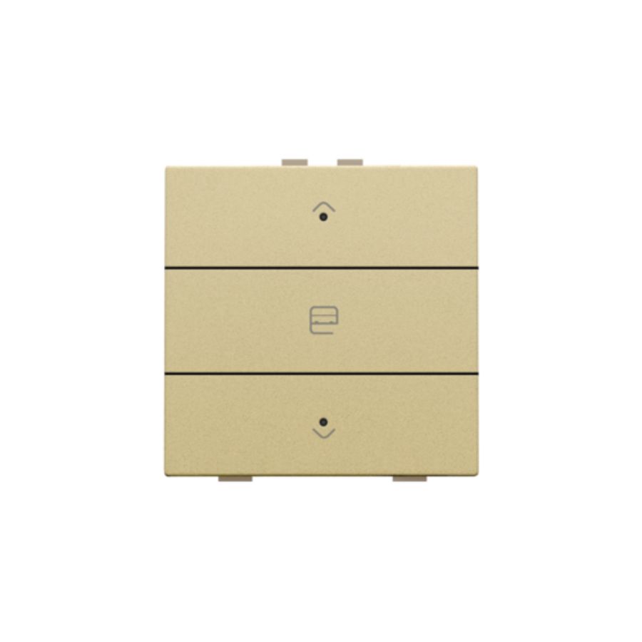 Enkelv. motorsturingsbed. led HomeControl gold