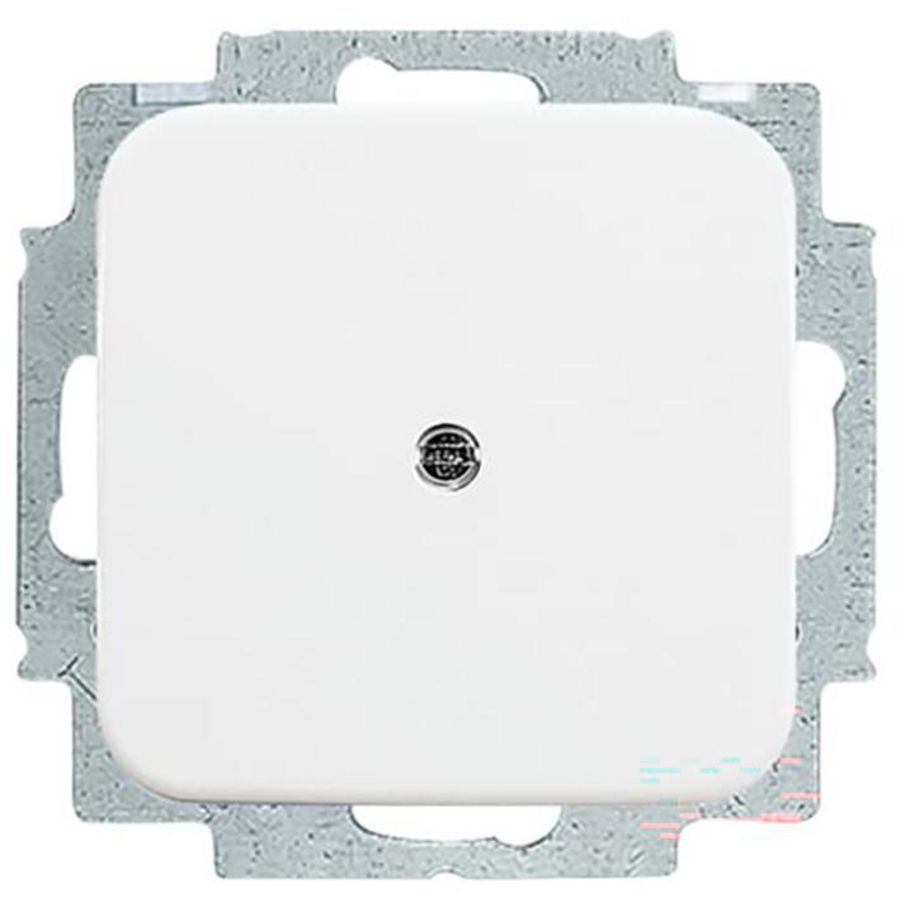 Centraalplaat blind met draagraam R-alpin wit (2538-214)