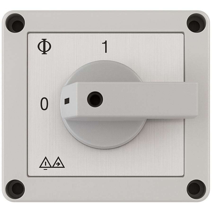 Werkschakelaar ws-4 w.c.