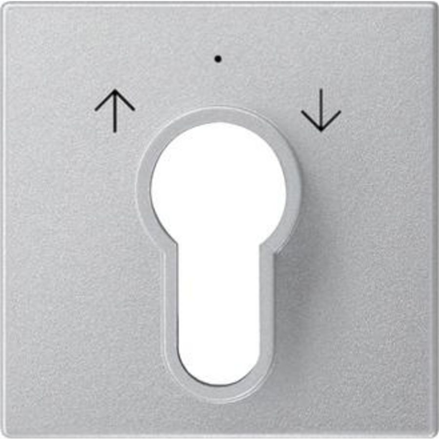 Afdekking sleutelschakelaar /-drukcontact System 55 kl.alum.