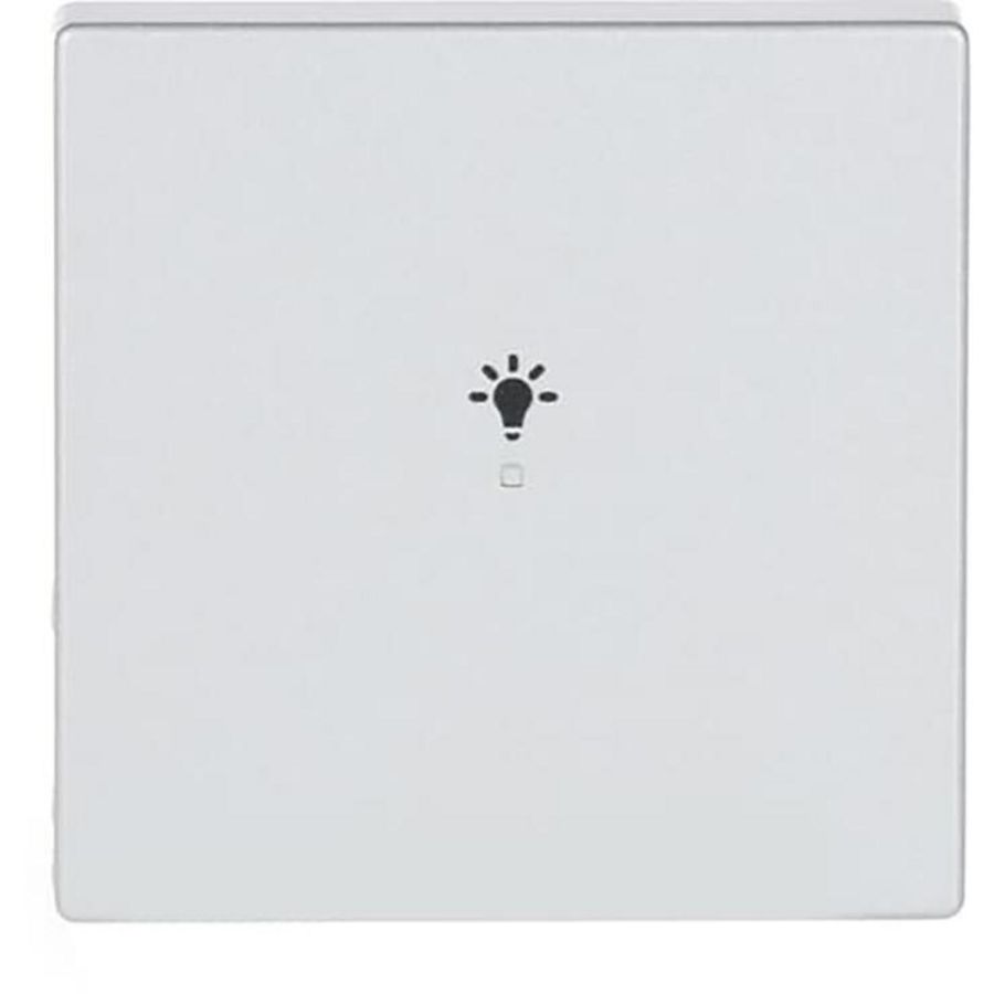 Free@Home bedieningswip 1-voudig licht f-aluzilver (6231-10-83)