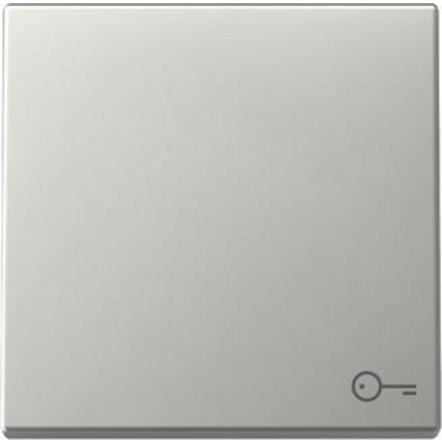 Wip sym.deur System 55 edelstaal