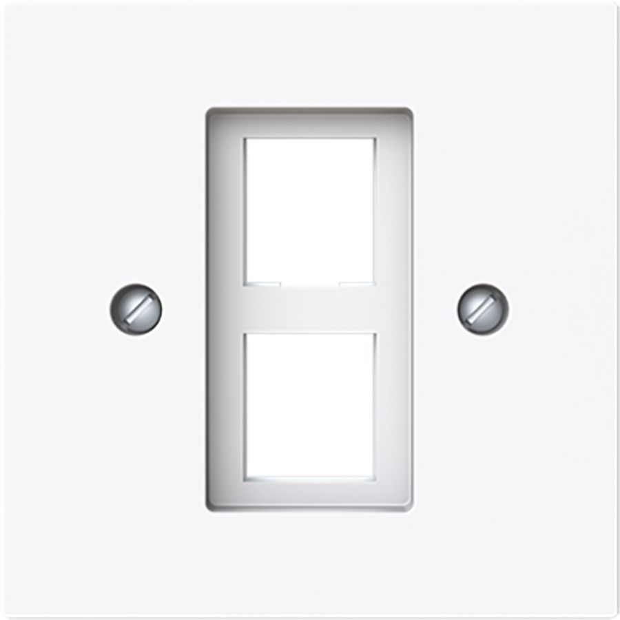Centraalplaat 2x modular jack 216000-2/216005-4 art-wit (2561-02-44G)