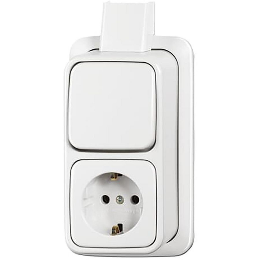 Combi schakelaar randaarde plaat opbouw 2609/2 APJ-COMB AP alpin wit