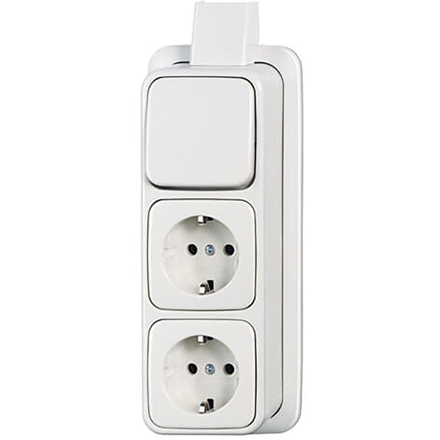 Combi schakelaar randaarde 3v wis plaat opbouw 2609/03 APJ AP alpin wit