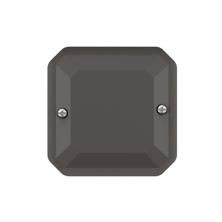 Blindplaat IP55 IK08 antraciet Plexo VVE=5