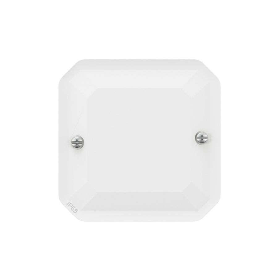 Blindplaat IP55 IK08 wit Plexo