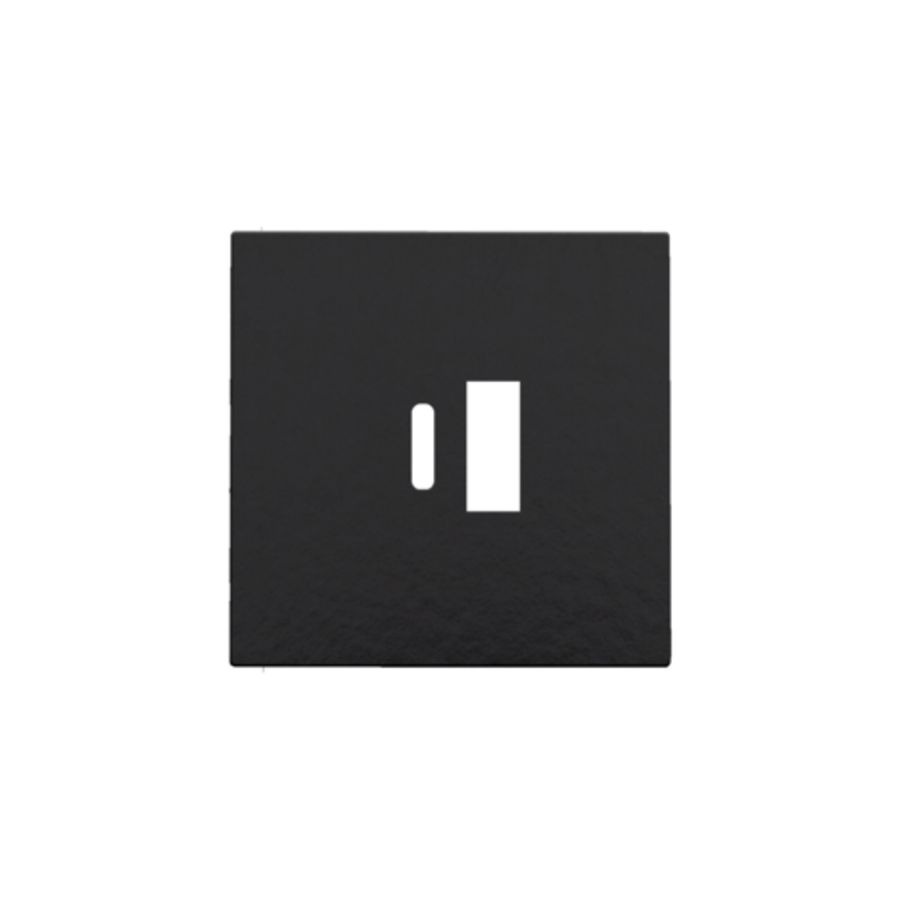 Afwerkingsset dubbele smart USB-A-/USB-C-lader piano black