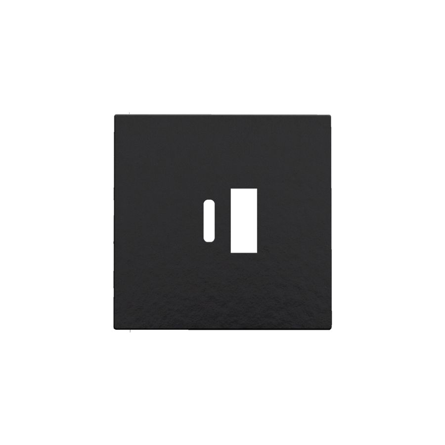 Afwerkingsset dubbele smart USB-A-/USB-C-lader piano black