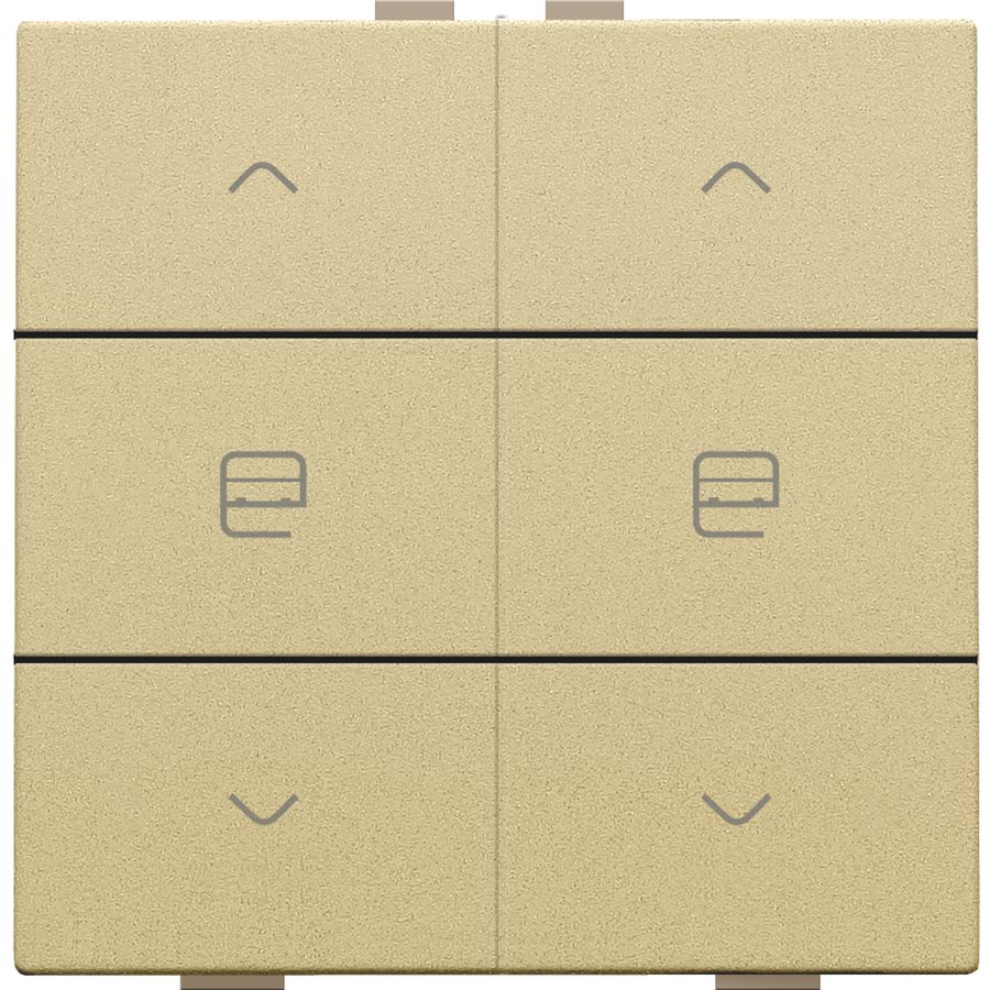 Dubbele motorsturingsbediening Home Control gold coated