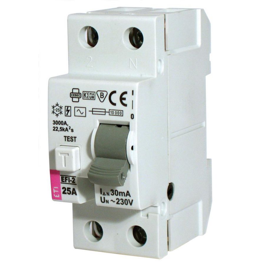 Aardlekschakelaar EFI-2 100A 30mA 2-polig 2062530