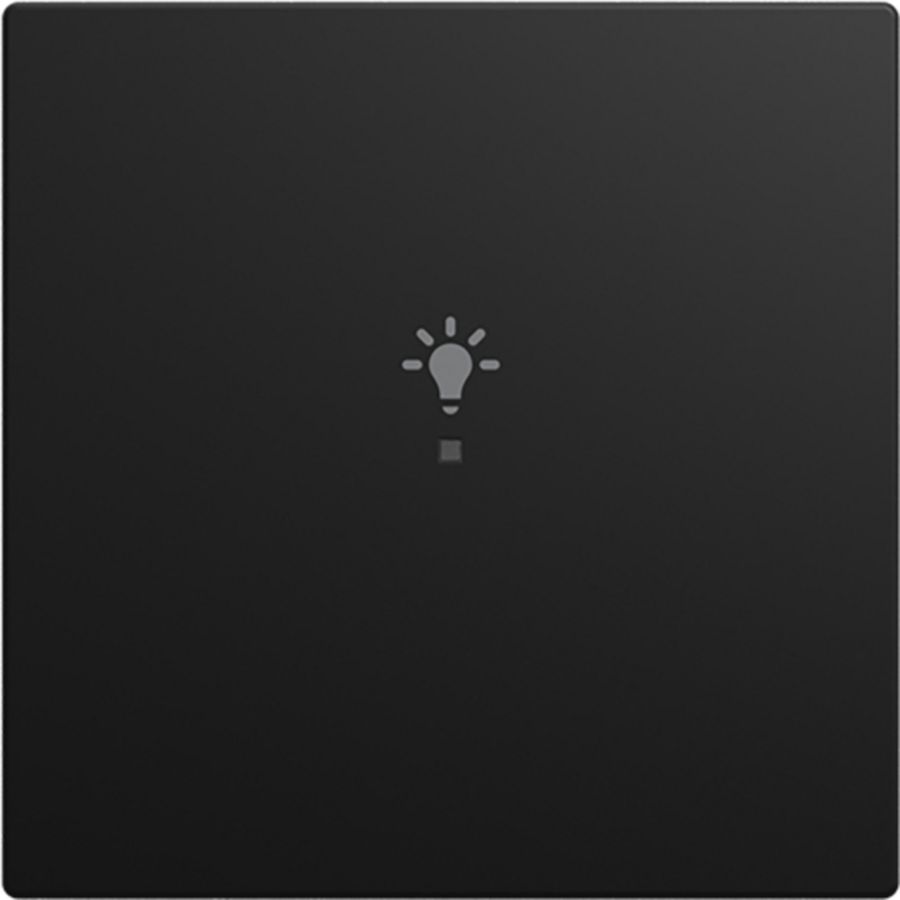 FaH bedieningswip 1-v licht SI-B-matzwart