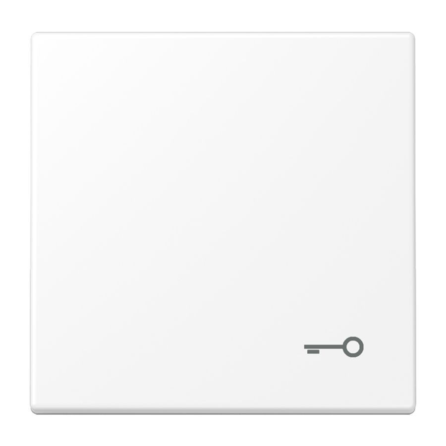 Schakelwip LS990 matwit m.symb. sleutel