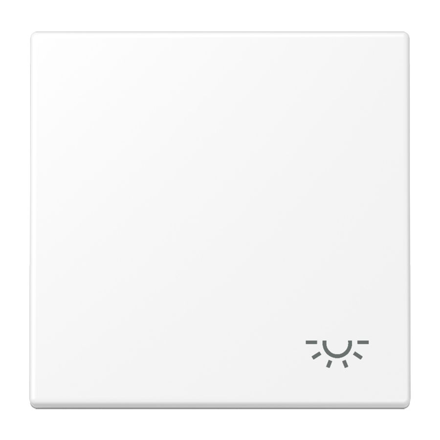 Schakelwip LS990 matwit m.symbool licht