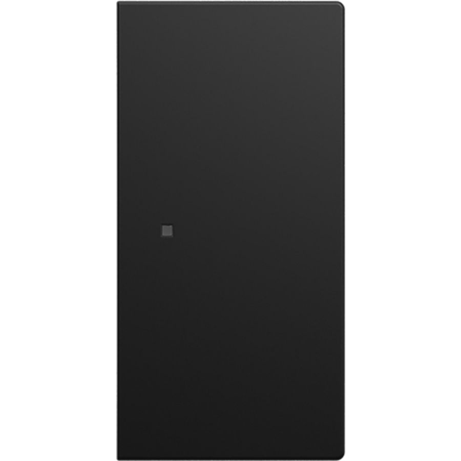 FaH bedieningswip 2-voudig SI-B-matzwart