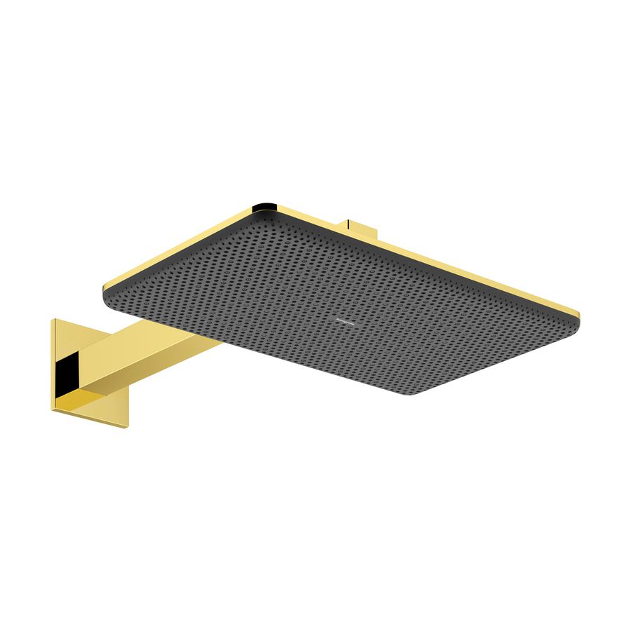 Hoofddouche Raindance Alive Q 210/340 2 straalsoorten+douchearm Polished Gold-Optic