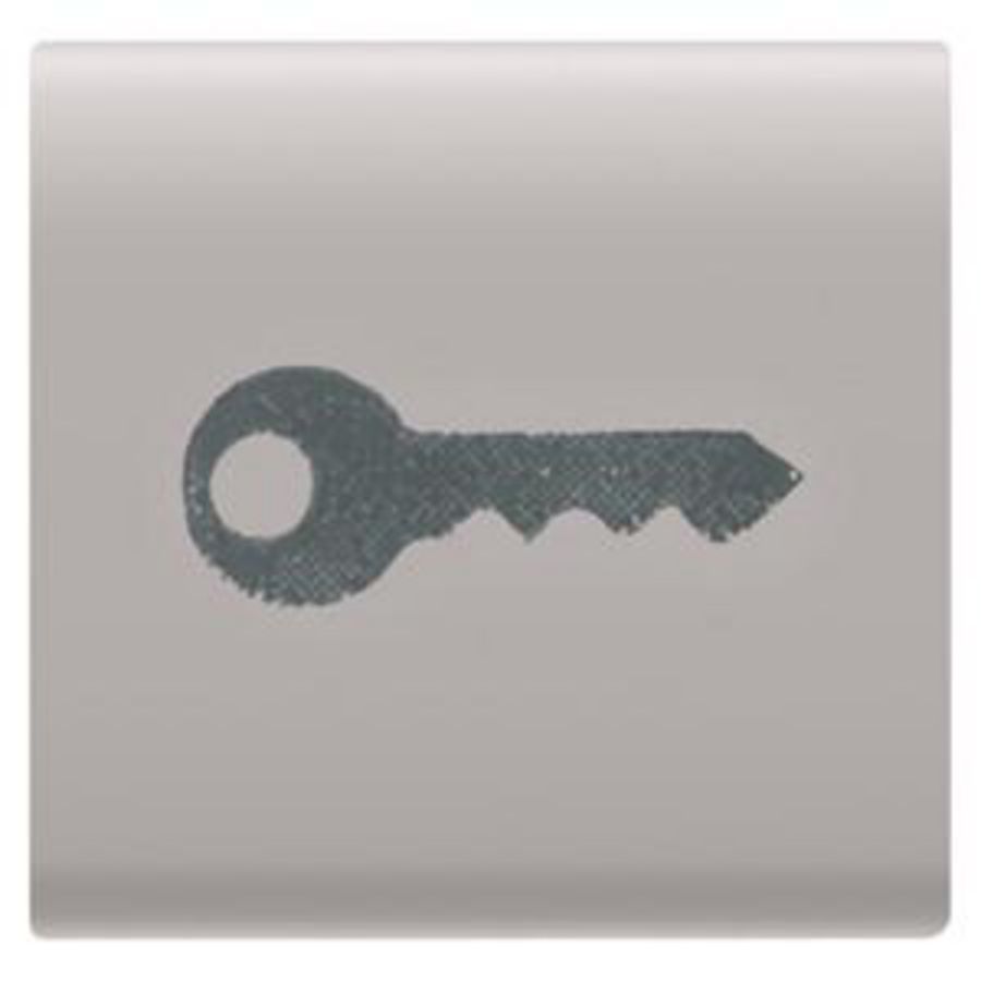 INTERCHANGEABLE BUTTON KEY-22X22mm-KEY-NATURAL SATIN B VVE=4