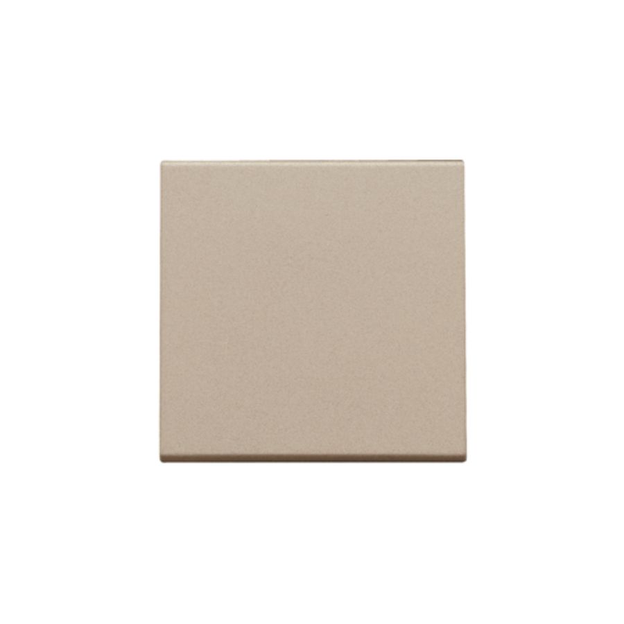 Afwerkingsset enkelv. elektr. schakelaar/knop champagne