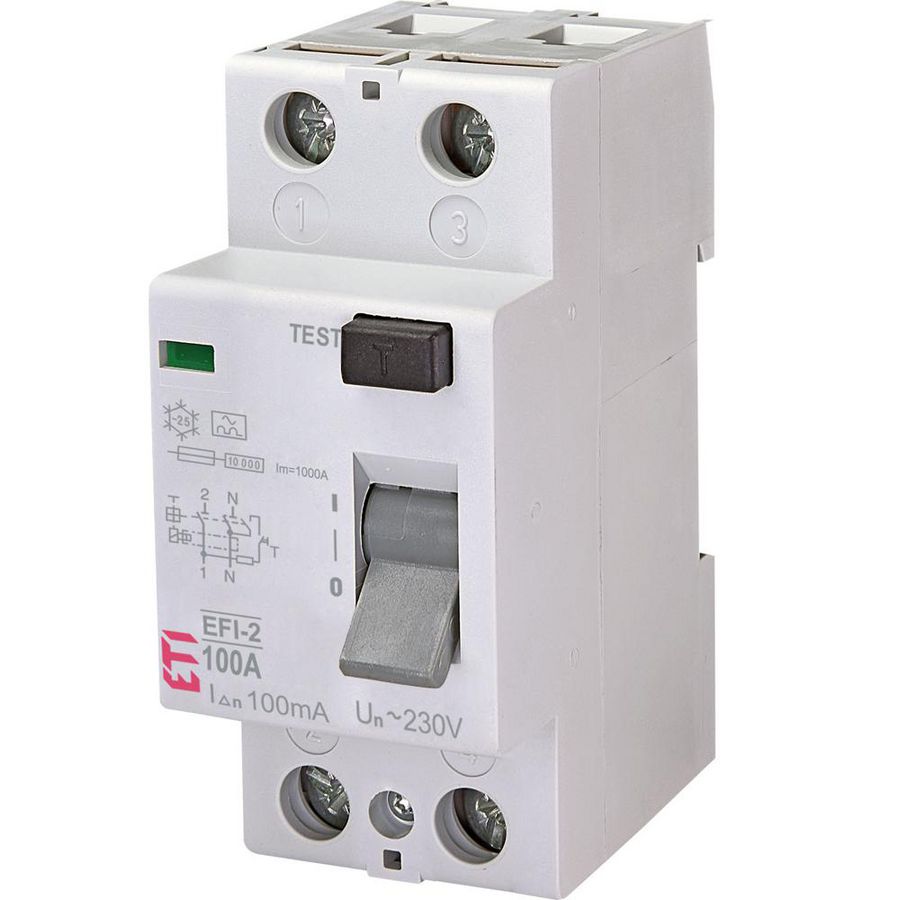Aardlekschakelaar EFI-2 100A 100mA 2-polig 2062532