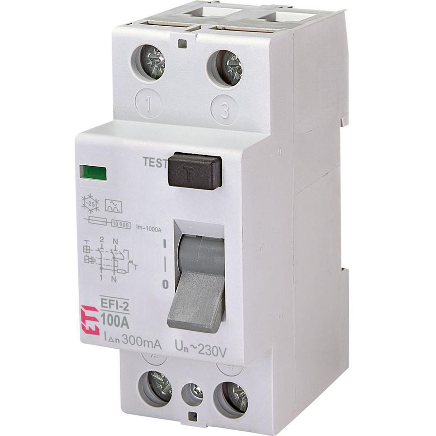 Aardlekschakelaar EFI-2 100A 300mA 2-polig 2062534