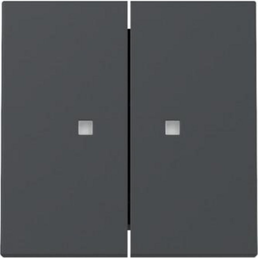 Wip 2-v ctrl.v. System 55 antraciet