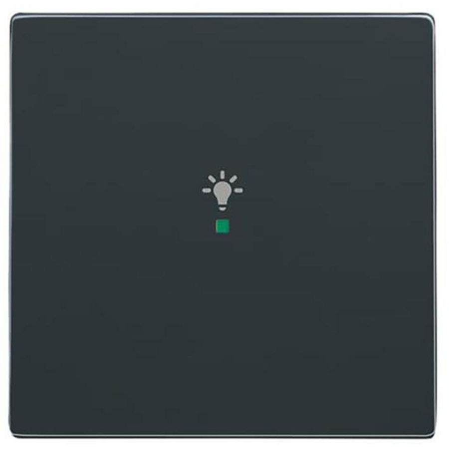 Free@Home bedieningswip 1-voudig licht f-antraciet (6231-10-81)