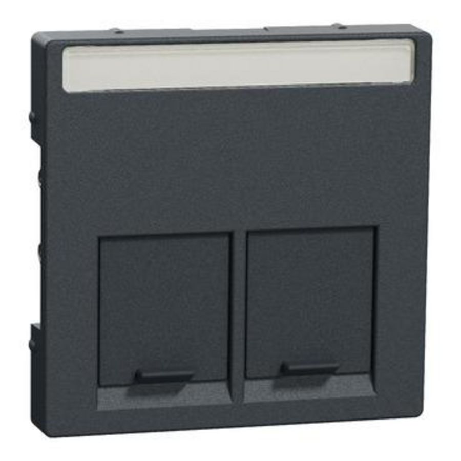 Central plate for Actassi module 2-gang anthracite System M
