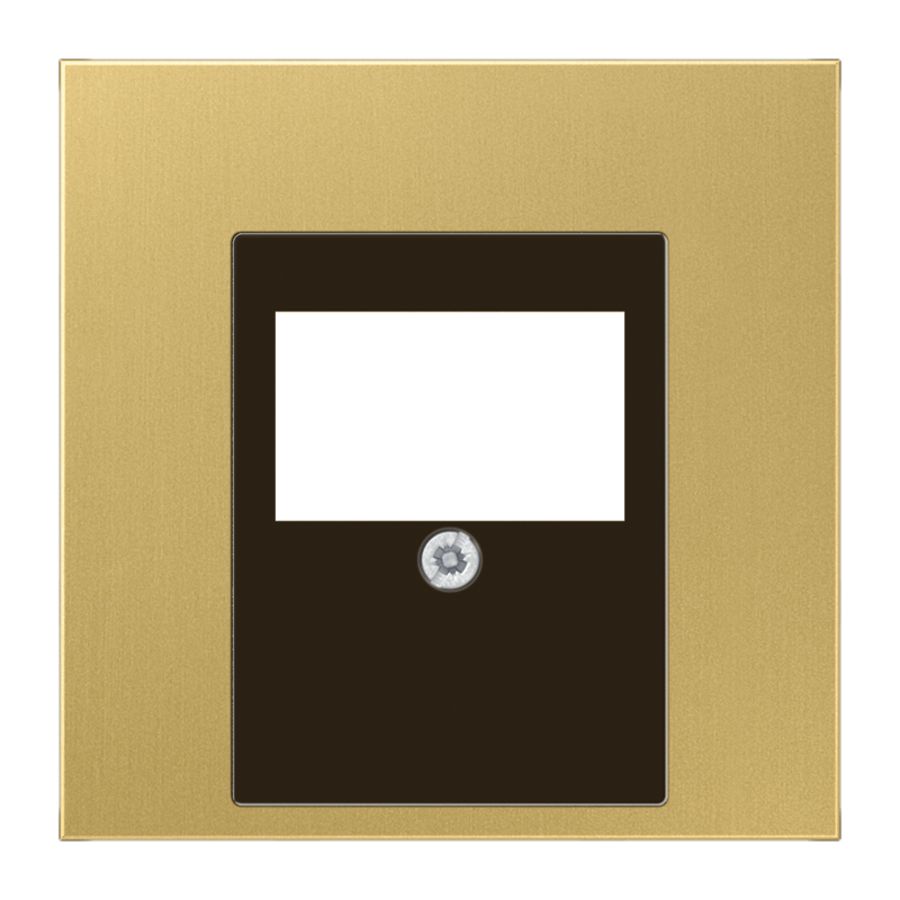 Afdekking USB+luidspr.LS messing klass.