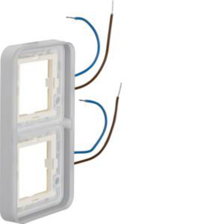 Verlicht afdekraam 2-v vert. 230V blauw berker W.1 grijs