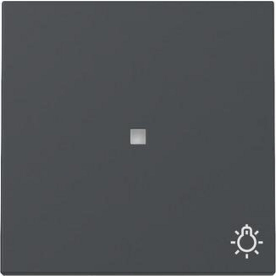 Wip ctrl.v. + sym.licht System 55 antraciet