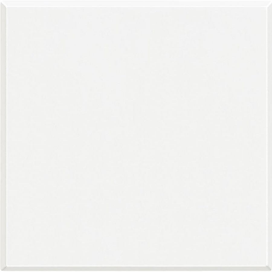 Blindplaat 2 modulen Axolute White