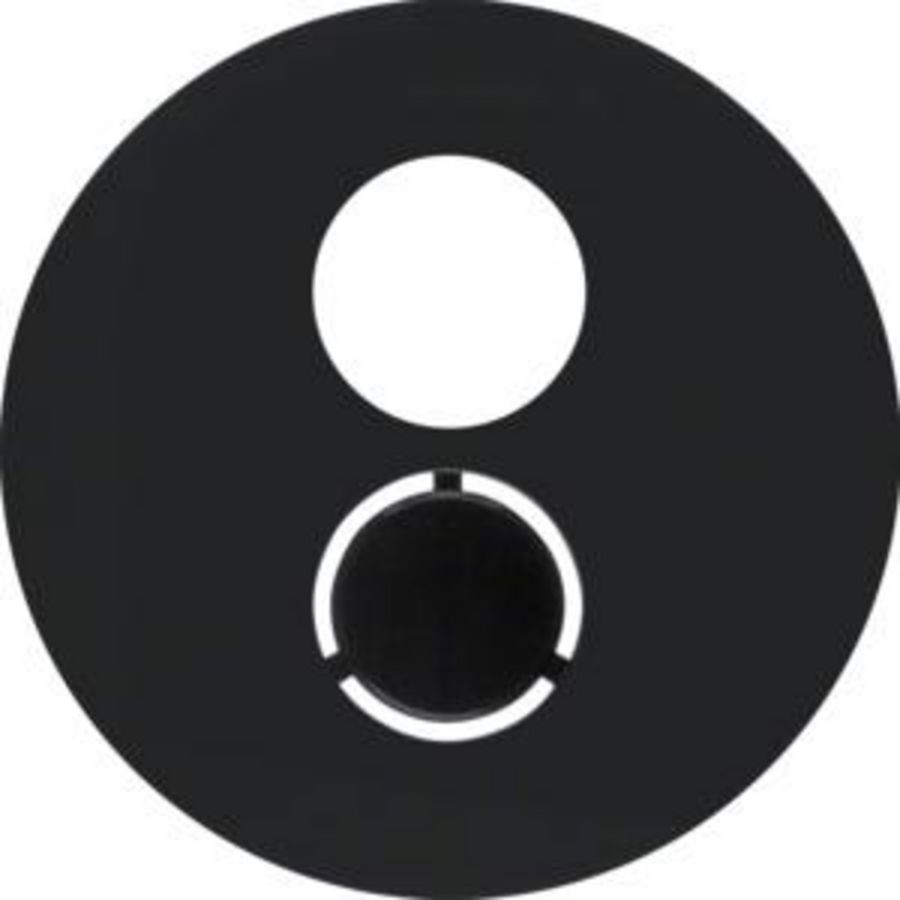 Centraaldoos luidspreker-wcd berker R.1/R.3/R.8 zwart