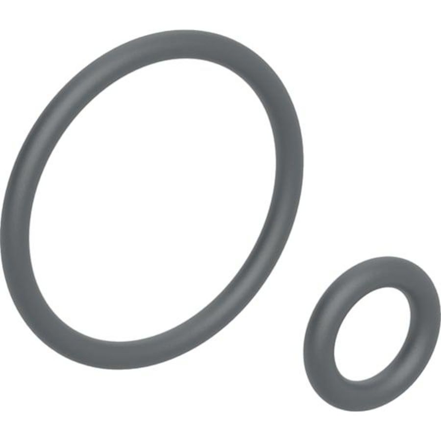 Set O ringen tbv AqC400/Sela douchekop