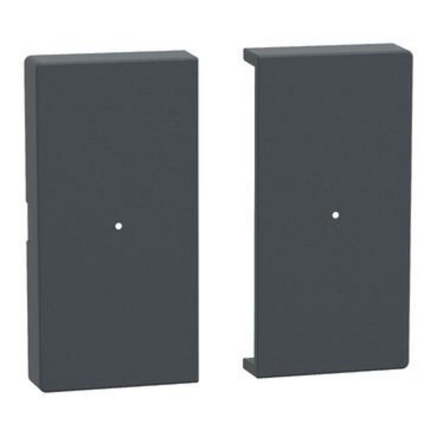 Rocker for 2-gang push-button module anthracite System M