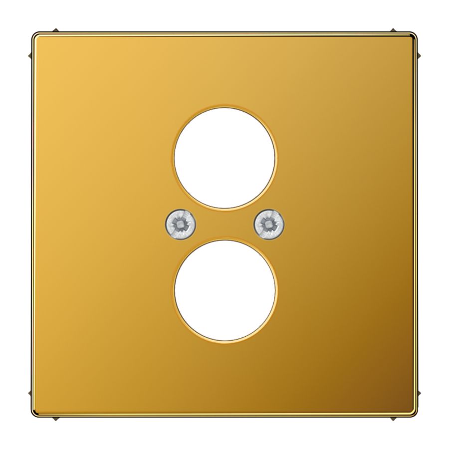 Afdekking goud 24 karaat voor BNC&L2S LS