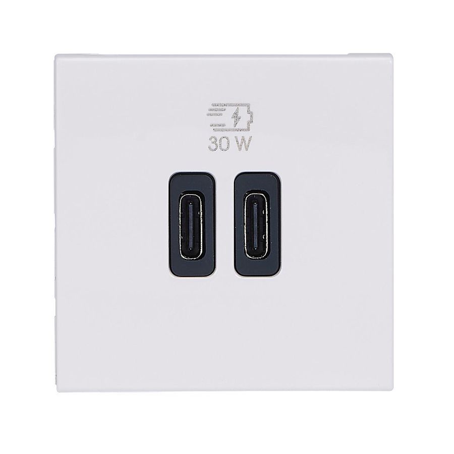 USB Powlader 30W 2 modulen C + C wit Mosaic
