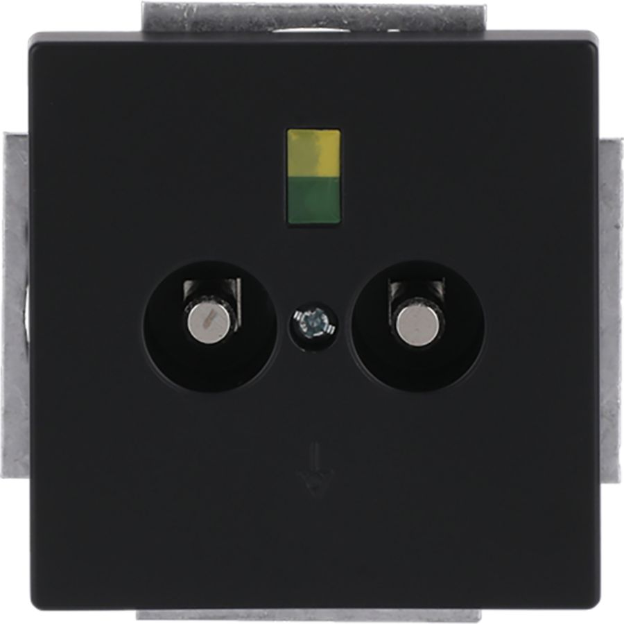 Aardingscontactdoos+Centraalplaat 2v inb f-matzw