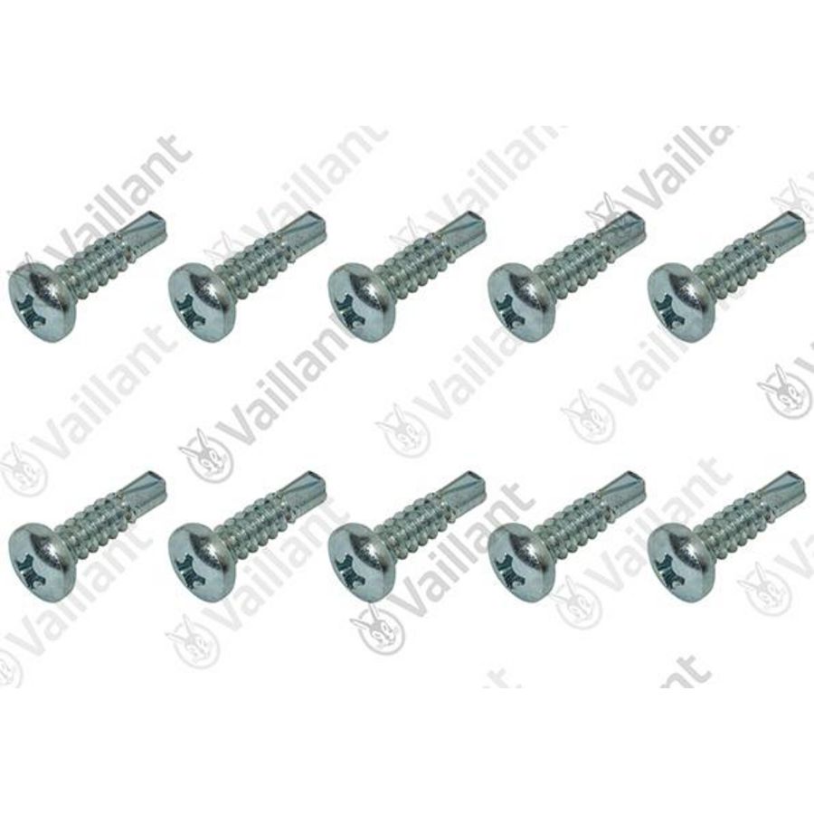 Set a 10st. Schroef 0020095979