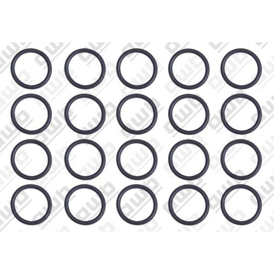 Set a 20st. O-ring 2000801948