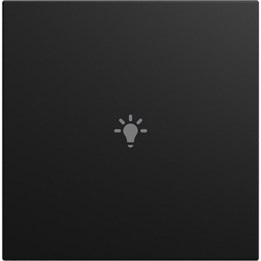 cpl v 1v drukknop lichtsymbool SI-B-matzwart (LFBT/A.1.55.11-915)