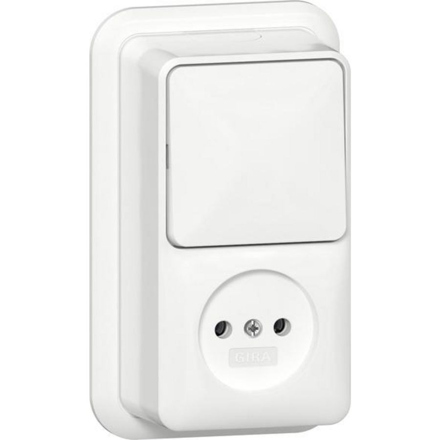 Combi uit-wis/wandcontactdoos ongeaard 2-p + K/P25 Opbouw zuiver wit