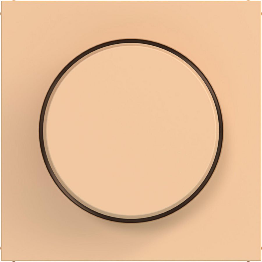 Afdekking voor draaidimmer A.x/C.x petal mat