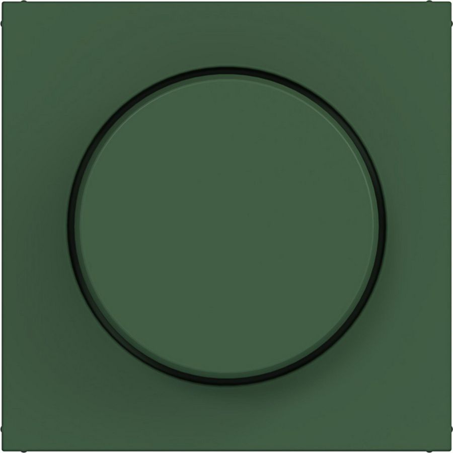 Afdekking voor draaidimmer A.x/C.x forest mat